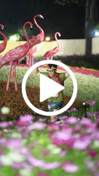 BIB:  <button type="button" onclick="openModal(27591120)" class="btn btn-primary btn-sm float-right" data-toggle="modal" data-target=".modal-high-quality">
                <i class="fa fa-download"></i> Download
                </button>